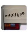 Sticker evolucion bodyboard