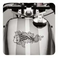 Pegatina EVOLUCION BERLINGO. Pegatinas para Camper y Autocaravana 2