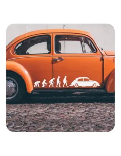 Lowered Beetle evolution