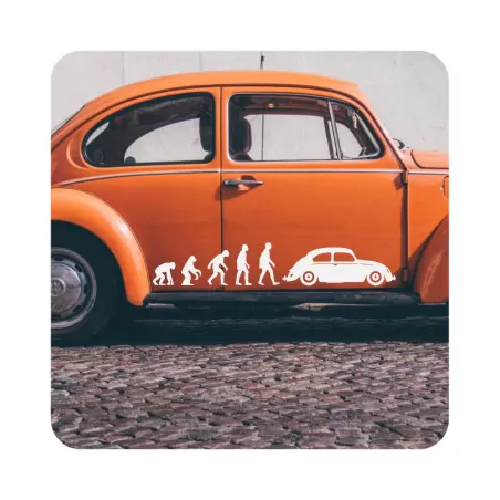 Sticker evolucion beetle