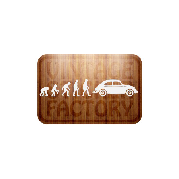 Aufkleber evolucion beetle