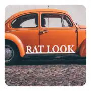 Pegatina RAT LOOK blanca aplicada en el lateral de un coche naranja