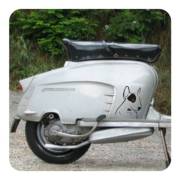 Autocollant bull terrier