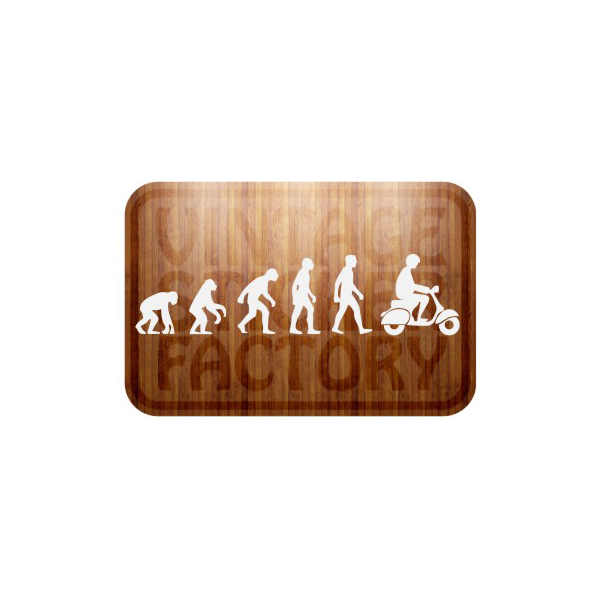 EVOLUTION VESPA Aufkleber