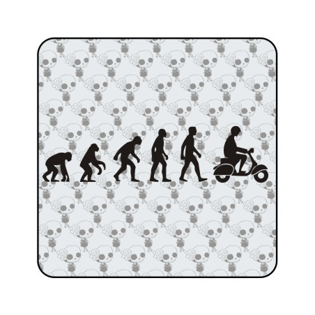 Pegatina EVOLUCION VESPA.