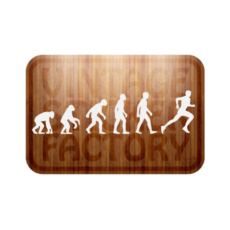 Pegatina EVOLUCION RUNNING. Pegatinas surferas.