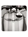 Sticker calavera alas