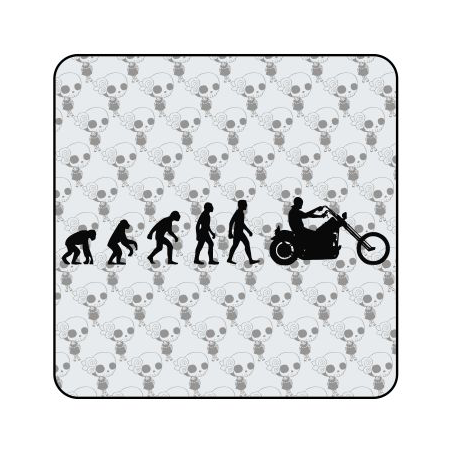 EVOLUTION CUSTOM Aufkleber