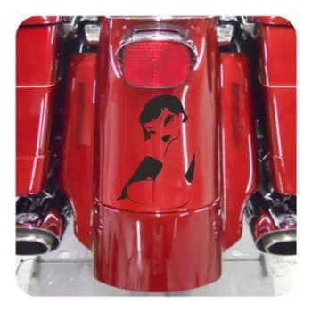 Sticker pin up