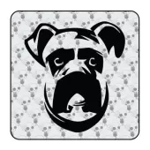 Sticker boxer 2