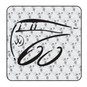 Sticker 60 aniversario transporter 2