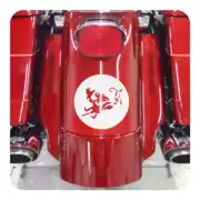 Pegatina BRUJA. Pegatinas freaks, pegatinas frikis.