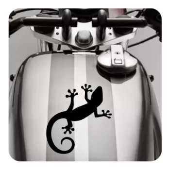 Sticker gecko