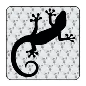 Sticker gecko 2