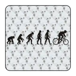Pegatina EVOLUCION BICI. Pegatinas surferas. 2