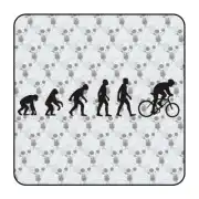EVOLUTION FAHRRAD Aufkleber