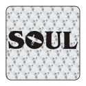Sticker soul surf