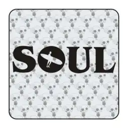 Autocollant soul surf 2
