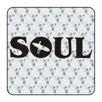 Autocollant soul surf 2