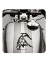 Sticker dragon celta