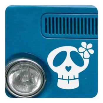 Sticker calavera lazo