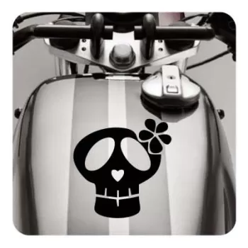 Sticker calavera lazo