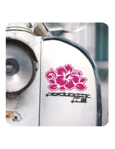 Hawaiianische Blumenhibiskus -5