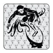 Sticker surfer 2