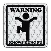 Pegatina WARNING KNOWS KUNG FU. Pegatinas freaks, pegatinas frikis. 2