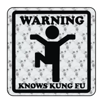 Pegatina WARNING KNOWS KUNG FU. Pegatinas freaks, pegatinas frikis.