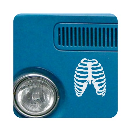 Sticker Torax
