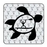 Autocollant SUP Tortuga 2