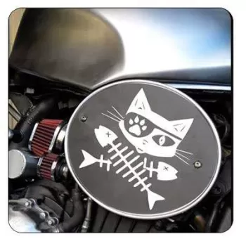 GATOS RASPAS Sticker