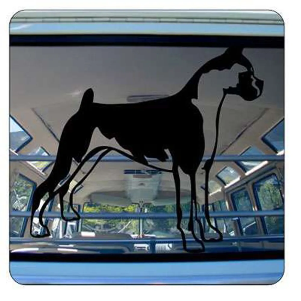 Pegatina NUEVO. Pegatinas para Camper y Autocaravana