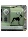 BOXER Sticker