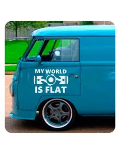 My World Is Flat