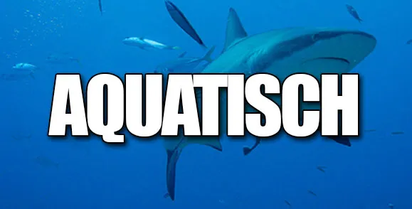 aquatisch tiera auklebler