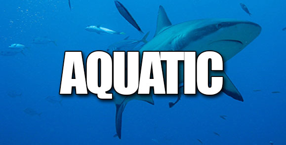 aquatic animals stickers
